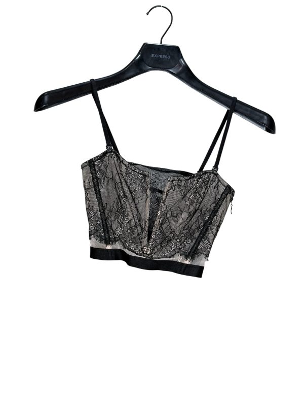 "Very Sexy" Vertical Mesh Bustier — The Designer Archive Modern [34B]